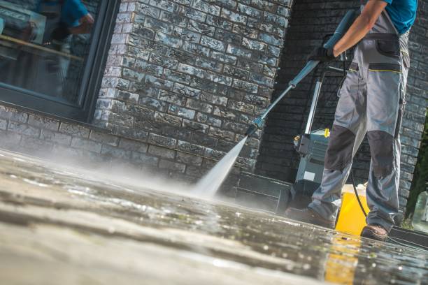 Best Soft Washing  in Fruitport, MI