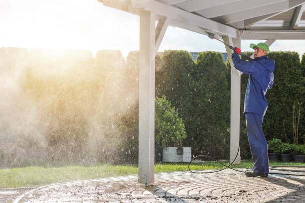 Best Dumpster Area Cleaning  in Fruitport, MI