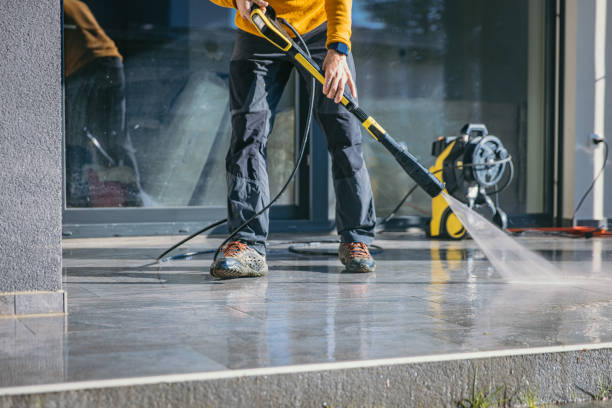 Best Solar Panel Cleaning  in Fruitport, MI